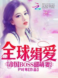 ȫ򼩰۹BOSS