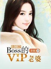 ˽֮BossVIP
