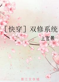 ˫ϵͳ
